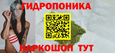 ГАЛЛЮЦИНОГЕННЫЕ ГРИБЫ Славгород