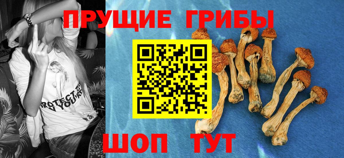 Псилоцибиновые грибы мицелий  Вход с VPN  Наро-Фоминск 